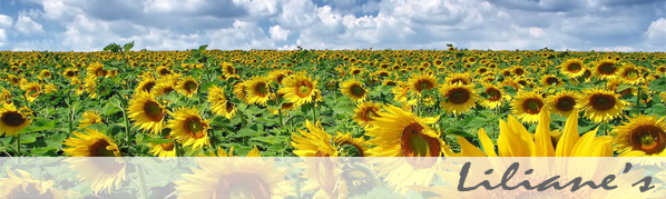 Shaba Baden – Liliane's Shaba Haarentfernung & Massagen