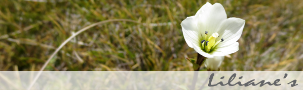 Shaba Baden – Liliane's Shaba Haarentfernung & Massagen