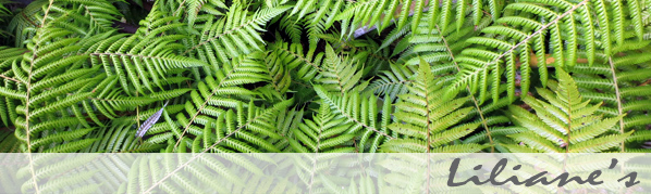 Shaba Baden – Liliane's Shaba Haarentfernung & Massagen