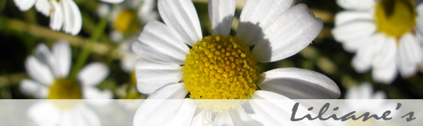 Shaba Baden – Liliane's Shaba Haarentfernung & Massagen