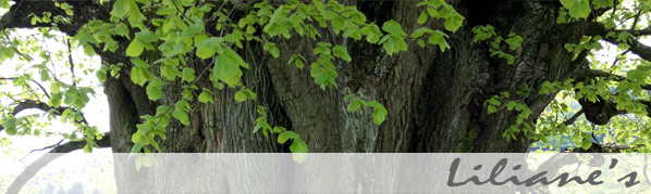 Shaba Baden – Liliane's Shaba Haarentfernung & Massagen