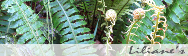 Shaba Baden – Liliane's Shaba Haarentfernung & Massagen